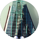 Teal Manners profile picture